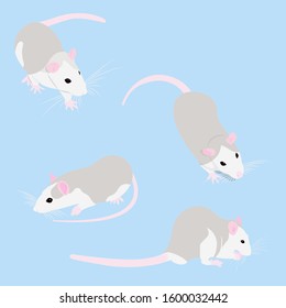 Set Pet Rat. cute Pet Decorative rat. Domestic rat on a blue background