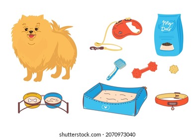 Set. pet shop icons. dog, breed Pomeranian. Accessories for dogs. Flat vector illustration. Feed, toys, balls, collar. Products for pet shop. Vector illustration isolated on white background cartoon