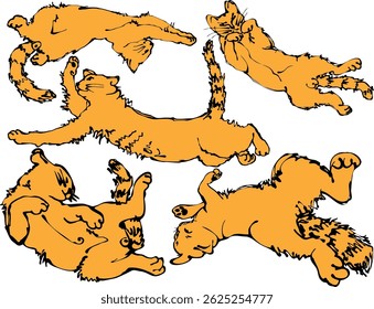 Conjunto de gatos amarillos de mascotas en diferentes poses, aislados sobre fondo blanco, hechos en Vector.