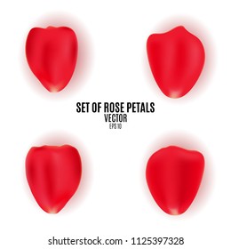 Set of petals of a red rose. Greek objects for a romantic project. Wedding, Valentine's Day, March 8. Rose petals isolated on white background. Vector illustration. EPS 10