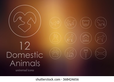 Set of pets icons