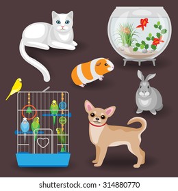 Set of pets and other animal companions. Cat, dog, rabbit, guinea pig, budgies in the cage and aquarium with fishes on dark background.