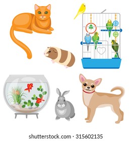 Set of pets and other animal companions. Cat, dog, rabbit, guinea pig, budgies in the cage and aquarium with fishes  isolated on white.