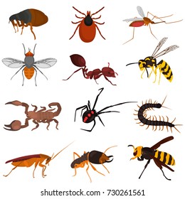 Set pf dangerous insects color flat icons