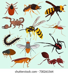 Set pf dangerous insects color flat icons