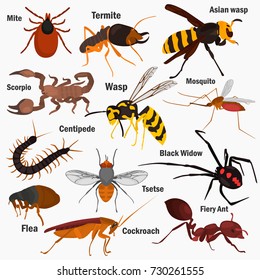 Poisonous Animals Vector Stock Vector (Royalty Free) 577181374