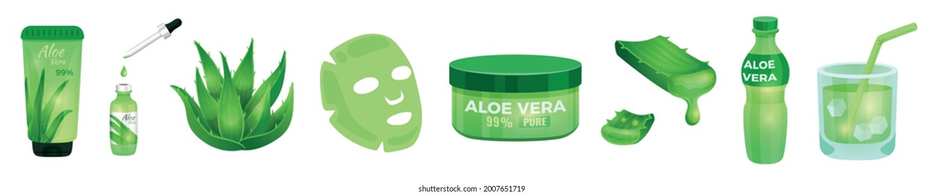 Set of pharmacy succulent Aloe Vera plant and elements for cosmetic products, isolated on white background. Vector illustration in trendy flat cartoon style