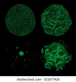 Set of phase nest isolated on black background.Vector foliage illustration.