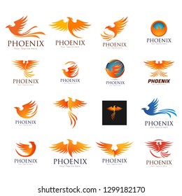 Set of phoenix bird logo templates, vector illustration isolated on white background. Collection of creative phoenix bird logotype templates, growth, development, power concept - Vect