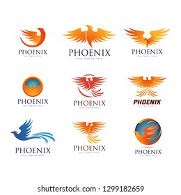 Set of phoenix bird logo templates, vector illustration isolated on white background. Collection of creative phoenix bird logotype templates, growth, development, power concept - Vect