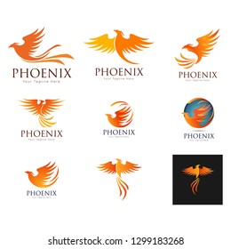 Set of phoenix bird logo templates, vector illustration isolated on white background. Collection of creative phoenix bird logotype templates, growth, development, power concept - Vect