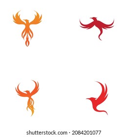 set of Phoenix logo design vector illustration
