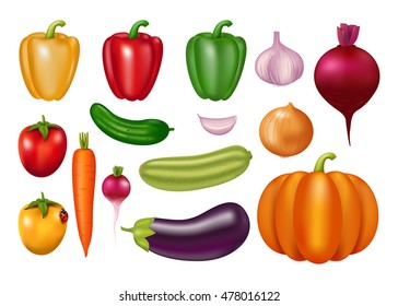 Set of photo realistic vector ripe and juicy vegetables. Natural product. Isolated elements on white background. Vegetarian healthy food. 3D effect. 