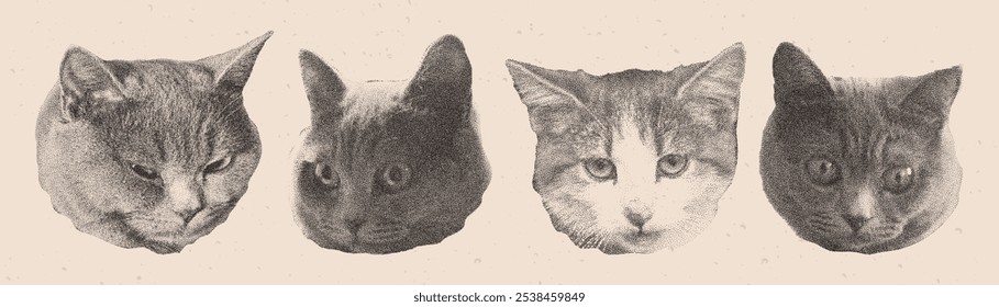 Set of photocopy funny cat heads. Halftone collage elements