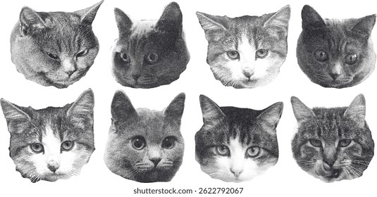 Set of photocopy funny cat heads. Halftone collage elements