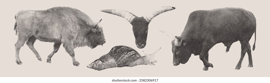 Set of photocopy wild animals. Snail, buffalo, bison. Halftone collage elements