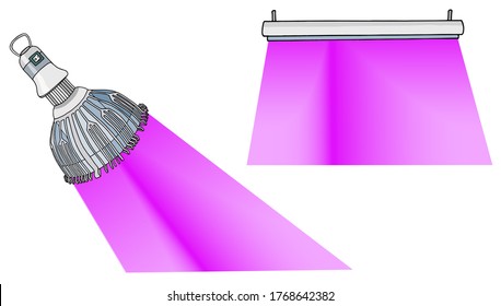 Set of phyto lamps for plants. Lamp with LED infrared and UV light. Vector stock illustration. Solar light sources with full spectrum for growing flowers. Lamp bulb and hanging on ceiling phyto light