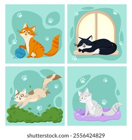 Set of pictures with cats. Orange, black, grey and beige kittens. Pets and domestic animals. Kitten at window frame, play with woolen ball and hide in bushes. Flat vector collection