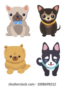 Set of pictures with cute dogs vector illustration of grey black and brown puppies with black eyes, yellow and blue collars, isolated on white backdrop