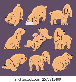 Set of pictures with a cute spaniel dog. A pet is a friend. Little cheerful puppy. Animal character. Cartoon vector illustrations