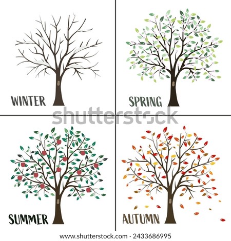 A set of pictures of the four seasons. Tree four times a year in spring, summer, autumn and winter. EPS 10.