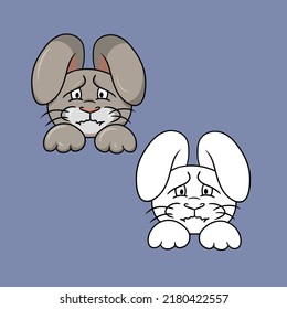 Set of pictures, Offended, sad rabbit, animal emotions, dissatisfied hare, vector illustration in cartoon style on a colored background