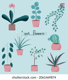 un conjunto de imágenes sobre el tema de las plantas interiores. vector