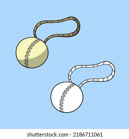 A set of pictures, a rubber toy for dogs, a ball on a rope, a vector illustration in cartoon style on a colored background