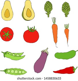 A set of pictures of vegetables for design.  Set vegetables vector illustration  hand draw.