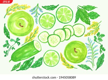 A set of pieces of apples, cucumbers, lime and greens, perfect for wrapping paper, healthy food cafe menus, advertising vegetable markets, shops for vegetarians. Vector illustration