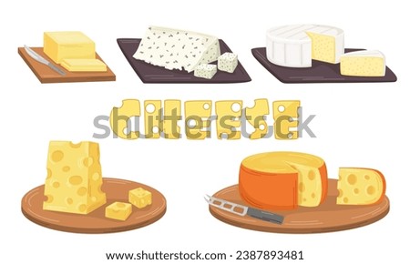 A set of pieces of different types of cheeses and butter. Camembert, blue cheese, swiss cheese. Flat vector illustration. Dairy products. Nutrition concept. Kitchen image. 