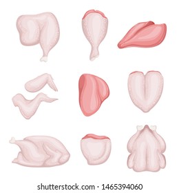A set of pieces of fresh chicken. Isolated on white background.