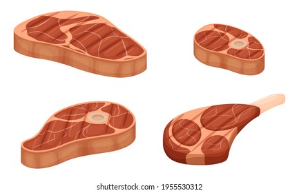 A set of pieces of grilled meat with layers of fat. Knuckle with bone, shoulder blade, fillet. Cooked fried meat. Flat cartoon vector illustration isolated on a white background.