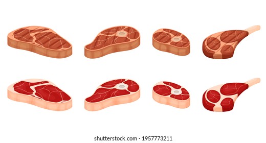 A set of pieces of meat. Fresh and grilled. Knuckle, shoulder blade, fat red meat. Pork, beef, lamb. Flat cartoon vector illustration isolated on a white background.