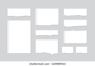 Set pieces of torn white lined notebook paper on gray background. Paper different shapes scraps - stock vector.