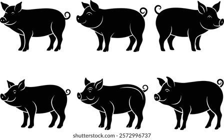 set of pig animals vector illustration