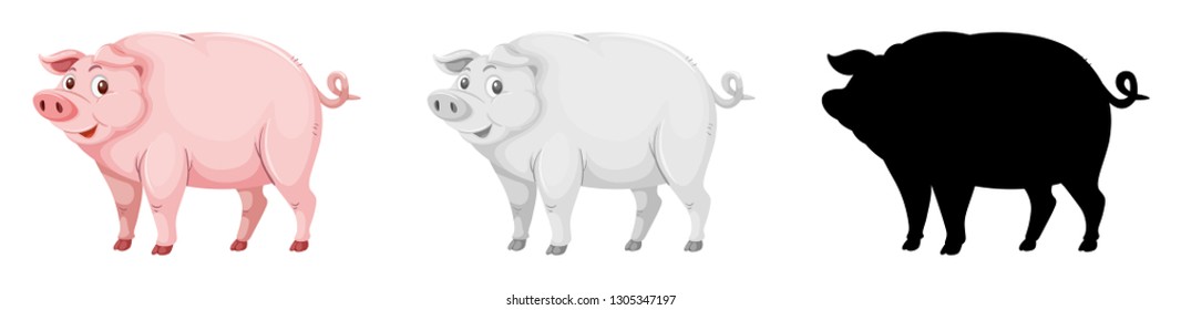Juego de ilustraciones de caracteres de cerdo