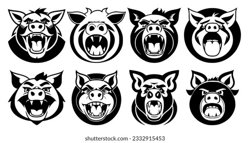 Set of pig heads with open mouth and bared fangs, with different angry expressions of the muzzle. Symbols for tattoo, emblem or logo, isolated on a white background.