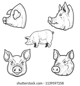 Set of pig illustrations. Pork head. Design element for emblem, sign, poster, badge. Vector illustration