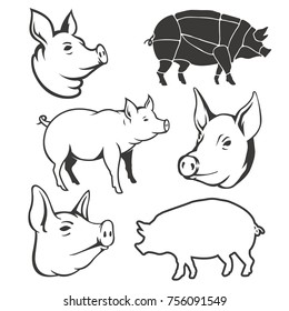 Set of pig isolated on white background. Pork meat. Design element for logo, label, emblem, sign, poster. Vector illustration.