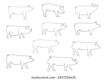 Set of pig line drawing vector illustrations of icons. Pork outline shape silhouette.