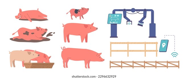 Set Of Pig Livestock Elements Isolated On White Background. Piglets Rolling In Mud, Eating, Automated Machine