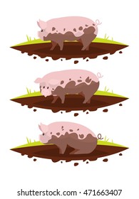 Set pig in a puddle of mud. Vector illustration of a flat design