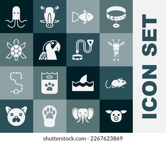 Set Pig, Rat, Giraffe head, Fish, Macaw parrot, Turtle, Octopus and Collar with name tag icon. Vector
