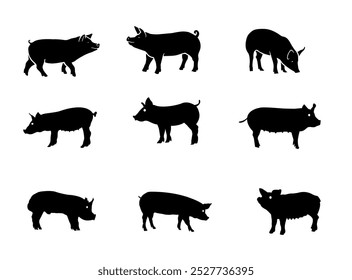 A set of pig silhouette image Vector