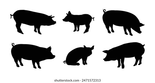 Set of pig silhouette - vector illustration