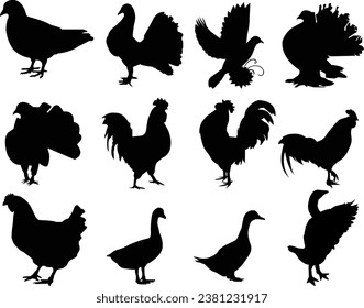 set of pigeons silhouette design on a white backgrouna