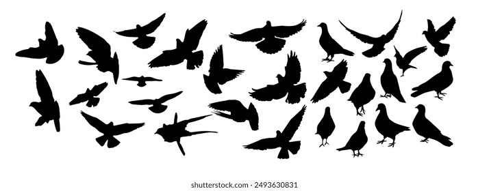 Set of pigeons silhouettes. hand drawing. Not AI. Vector illustration.