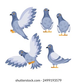 Set of pigeons standing and flying with spread wings