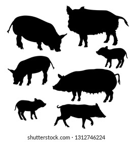 Set of pigs and piglets silhouettes. Vector illustration isolated on white background